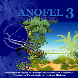 illustration anofel3